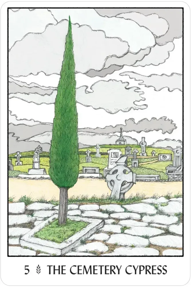 5109-oracle-of-the-trees-1.webp