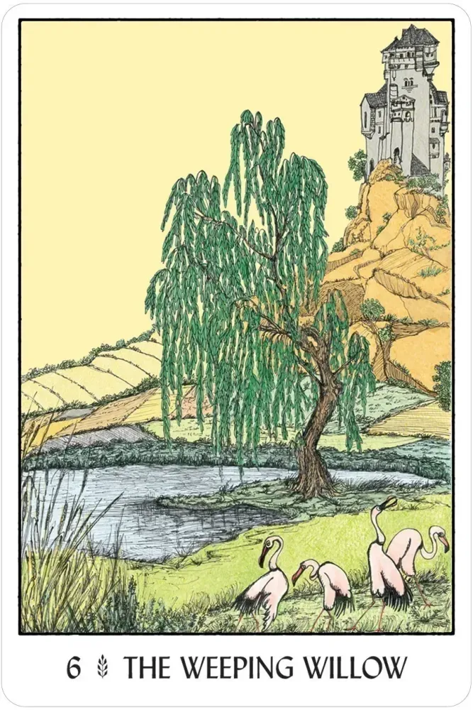 5109-oracle-of-the-trees-1.webp