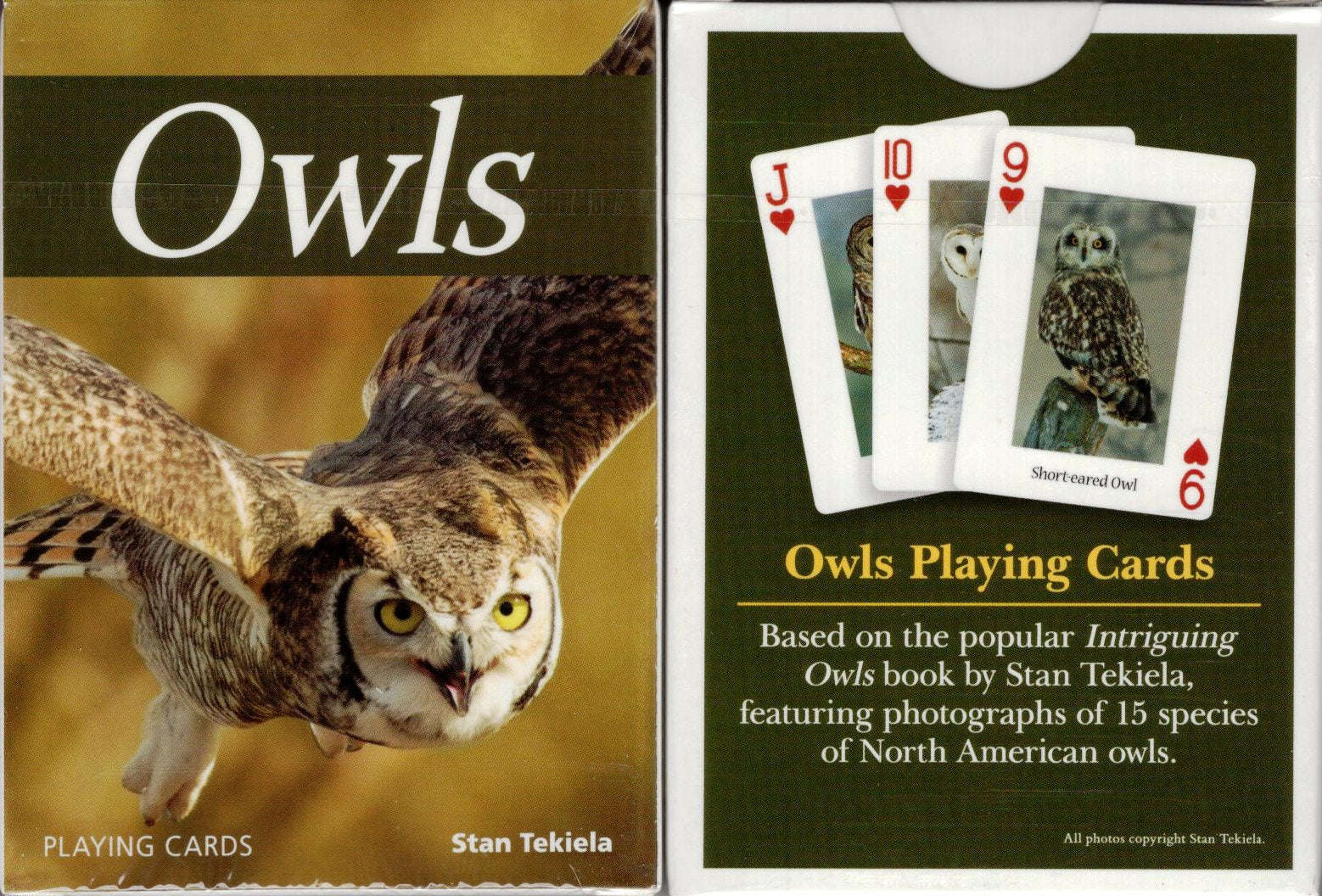 Owls Playing Cards
