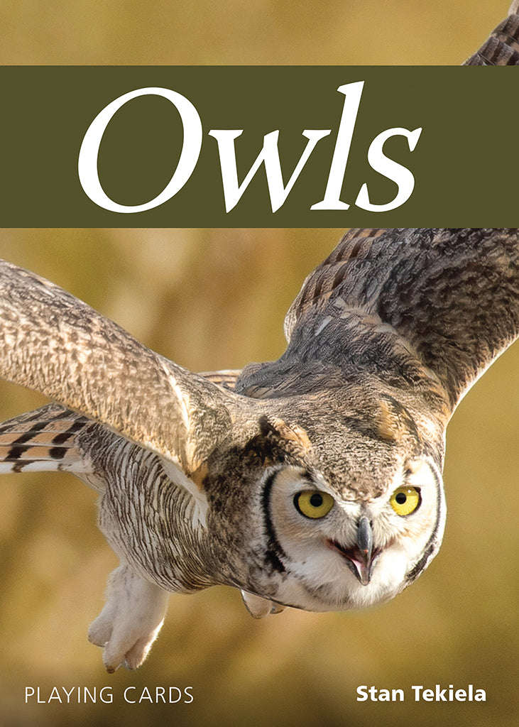 5181-owls-playing-cards-1.jpg