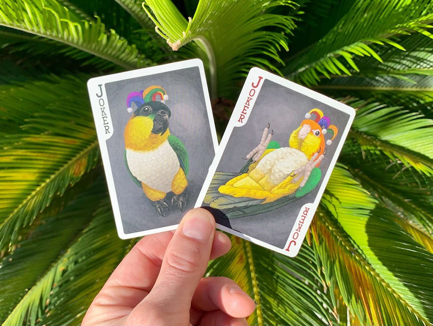 5246-parrot-extinct-gilded-bicycle-playing-cards-1.jpg