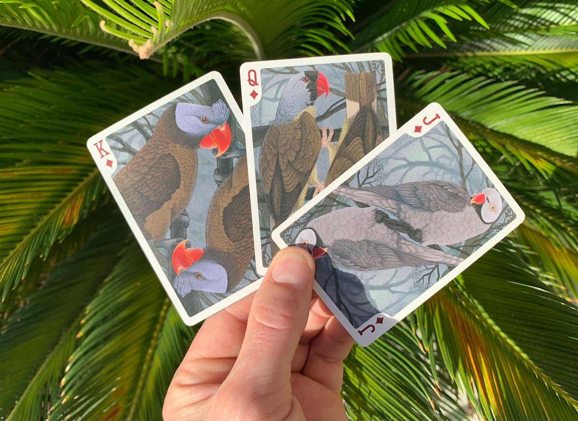 5246-parrot-extinct-gilded-bicycle-playing-cards-1.jpg