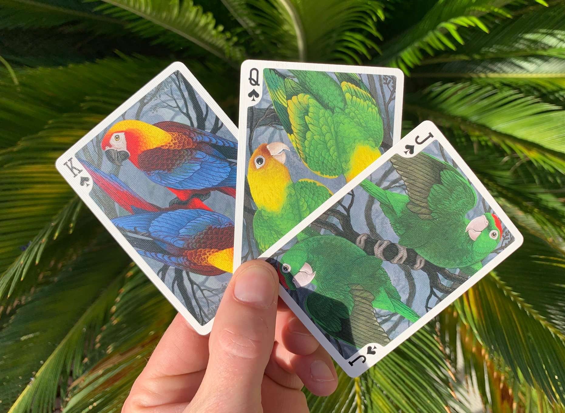 5246-parrot-extinct-gilded-bicycle-playing-cards-1.jpg