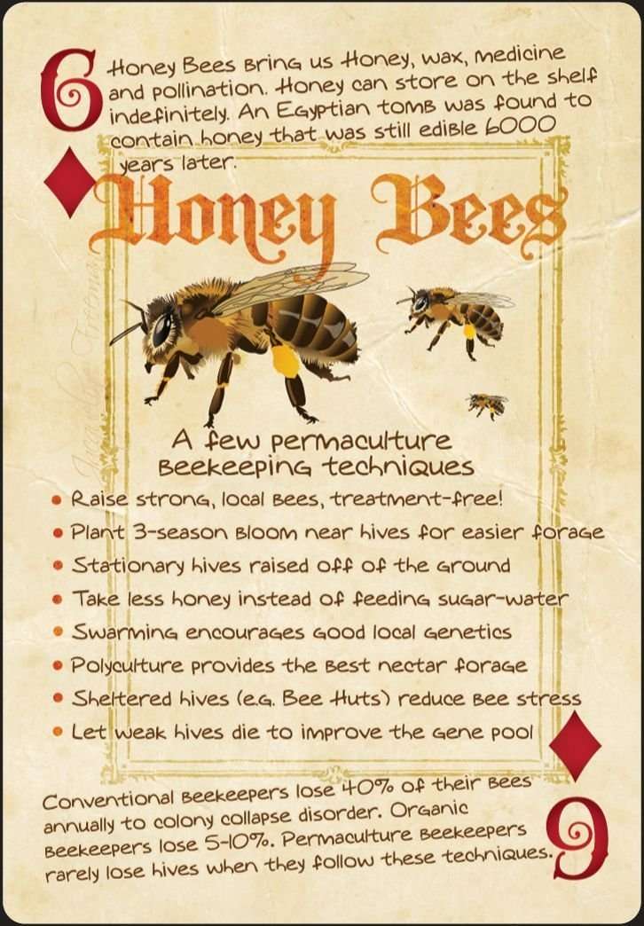 5304-permaculture-playing-cards-1.jpg