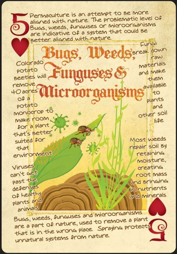 5304-permaculture-playing-cards-1.jpg