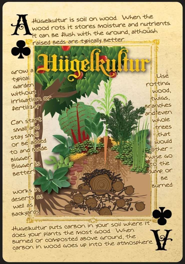 5304-permaculture-playing-cards-1.jpg