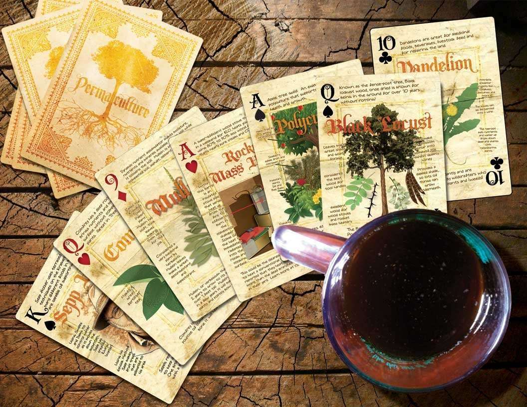 5304-permaculture-playing-cards-1.jpg