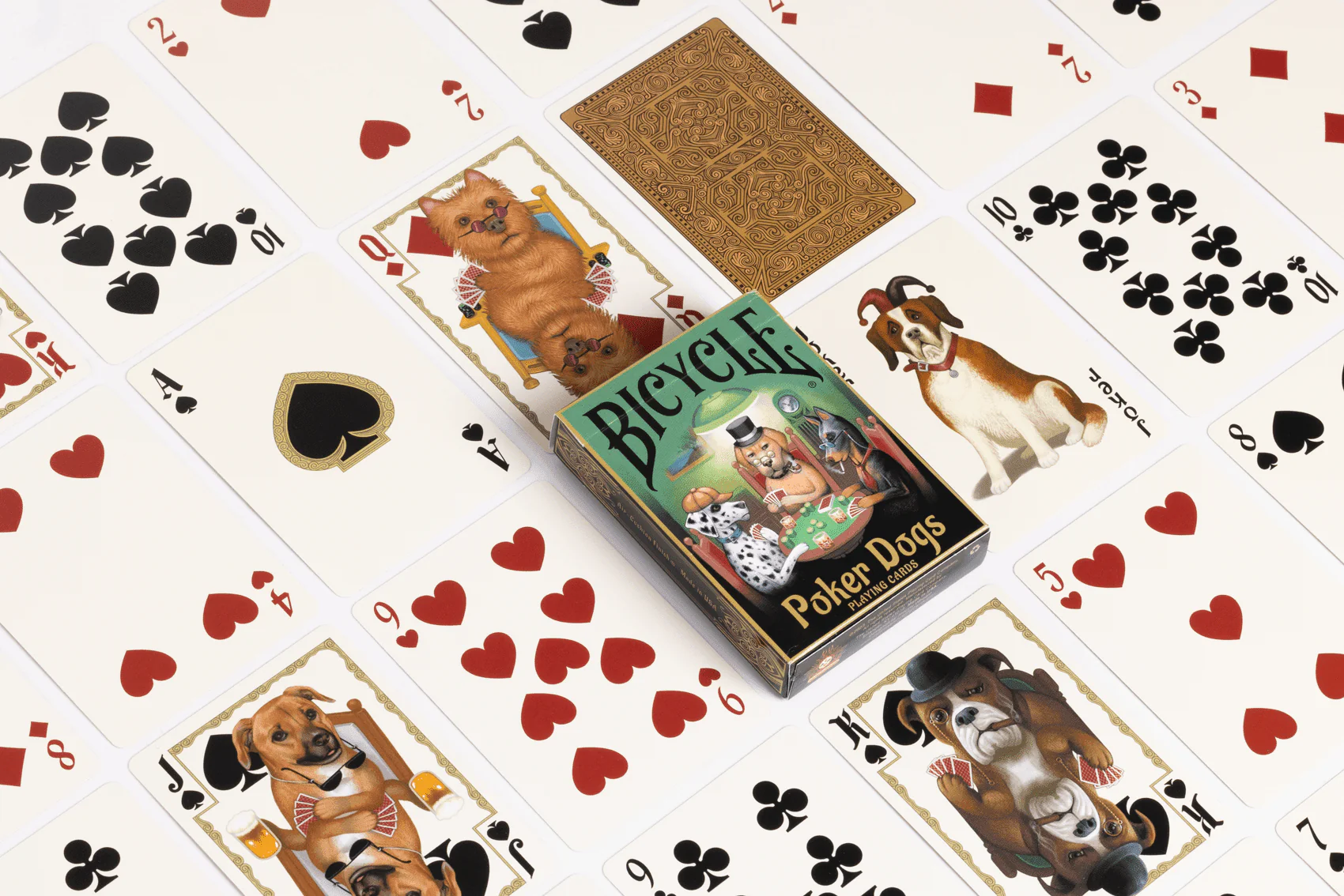 5464-poker-dogs-bicycle-playing-cards-1.jpg