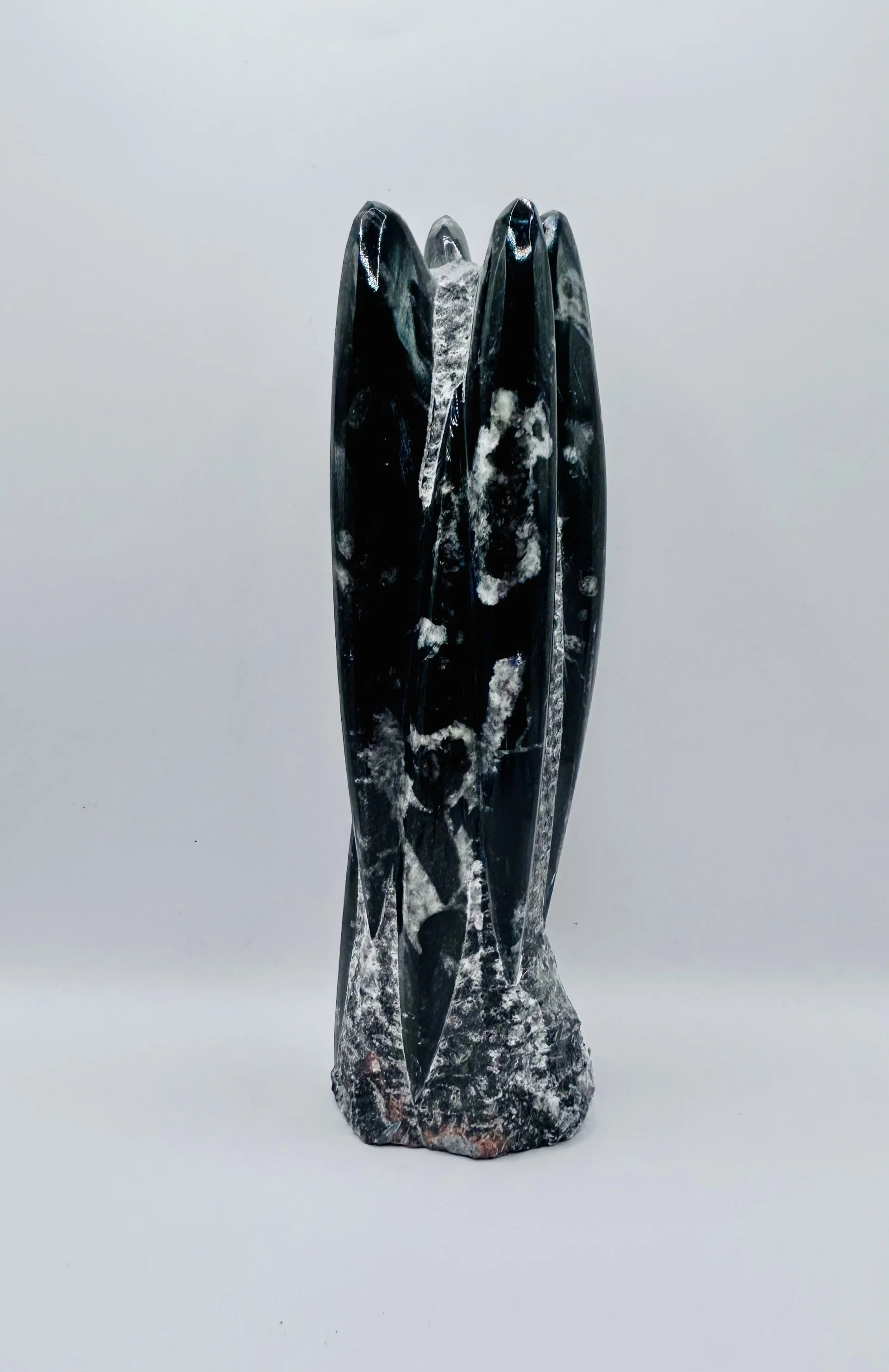 Polished Orthoceras Fossil â 9" Sculpture