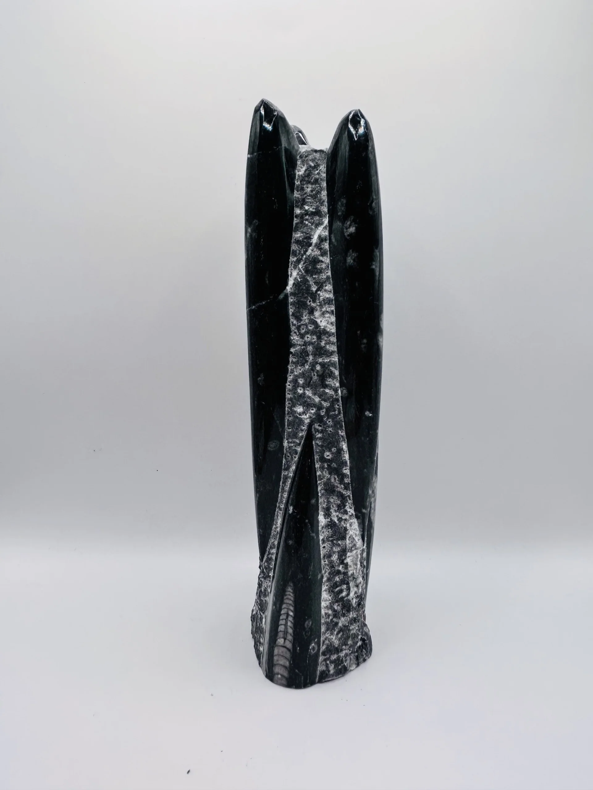 Polished Orthoceras Fossil â 9" Sculpture