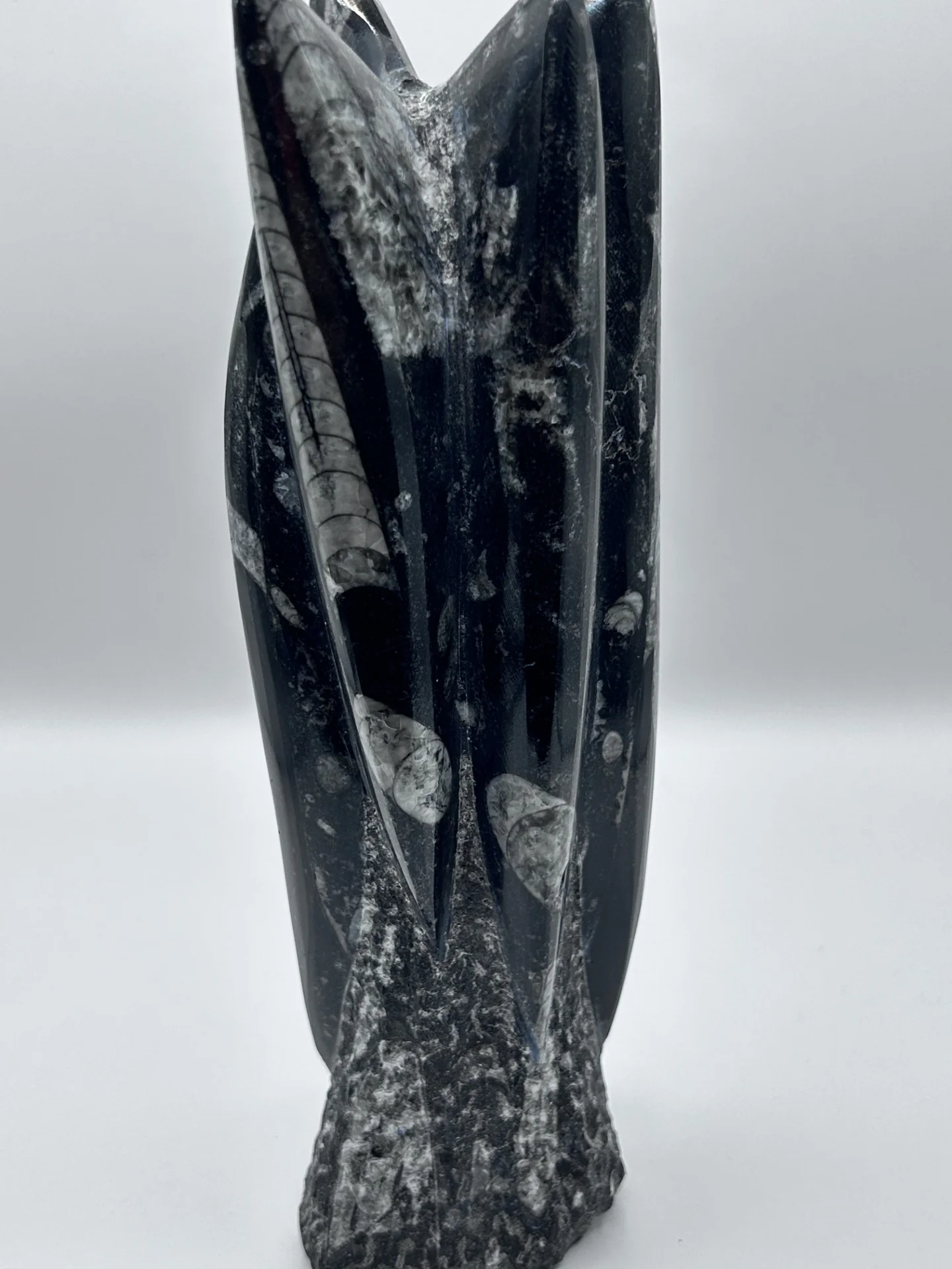 Polished Orthoceras Fossil â 9.5" Sculpture