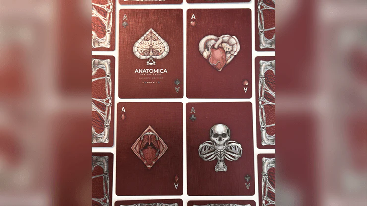 557-alterna-playing-cards-cartamundi-1.jpg