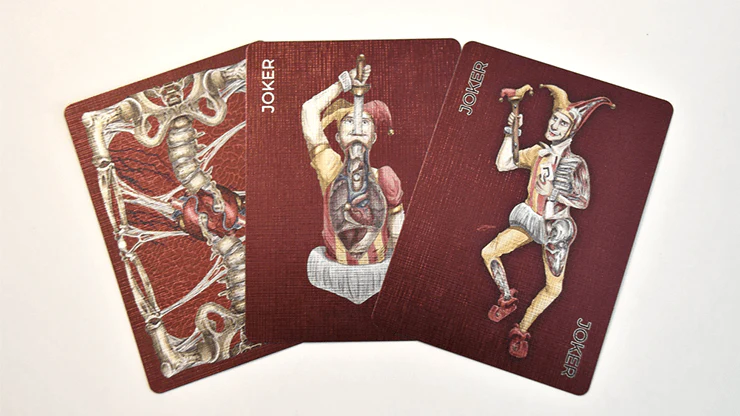 557-alterna-playing-cards-cartamundi-1.jpg