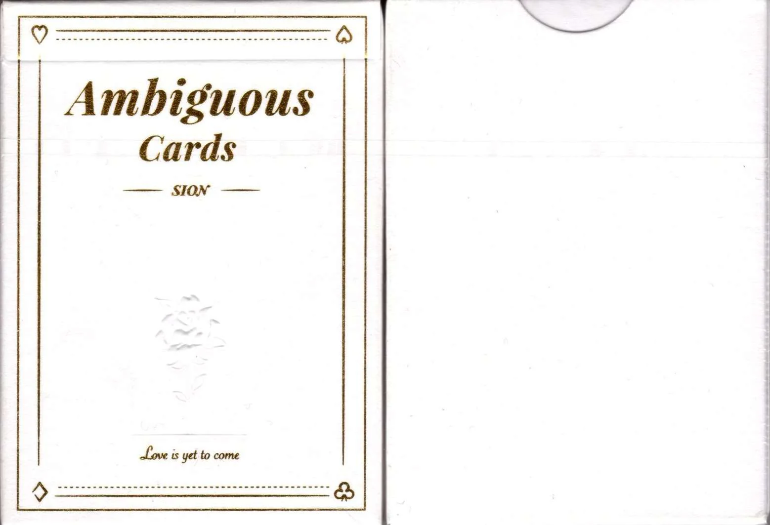 559-ambiguous-playing-cards-1.jpg