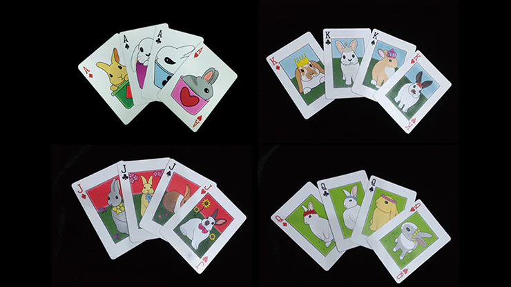 5614-rabbit-bicycle-playing-cards-1.jpg