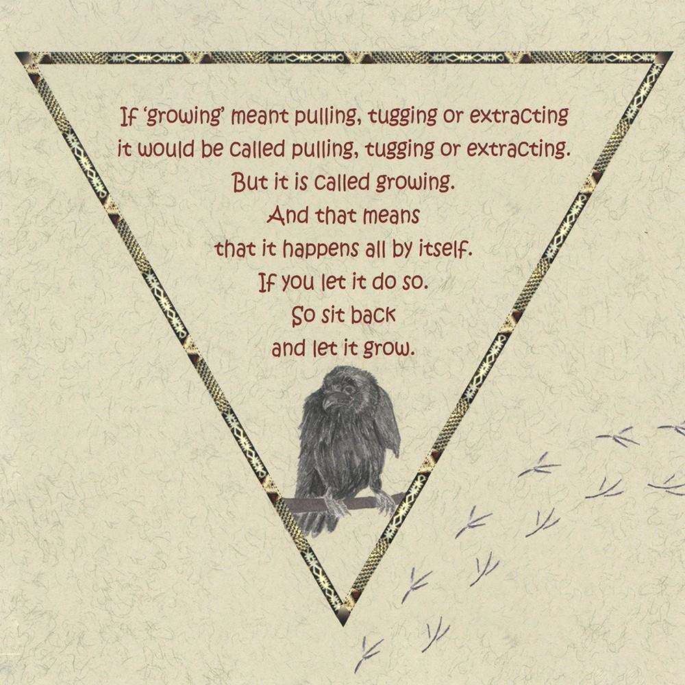 5644-raven-oracle-cards-insights-to-guide-today-s-choices-1.jpg