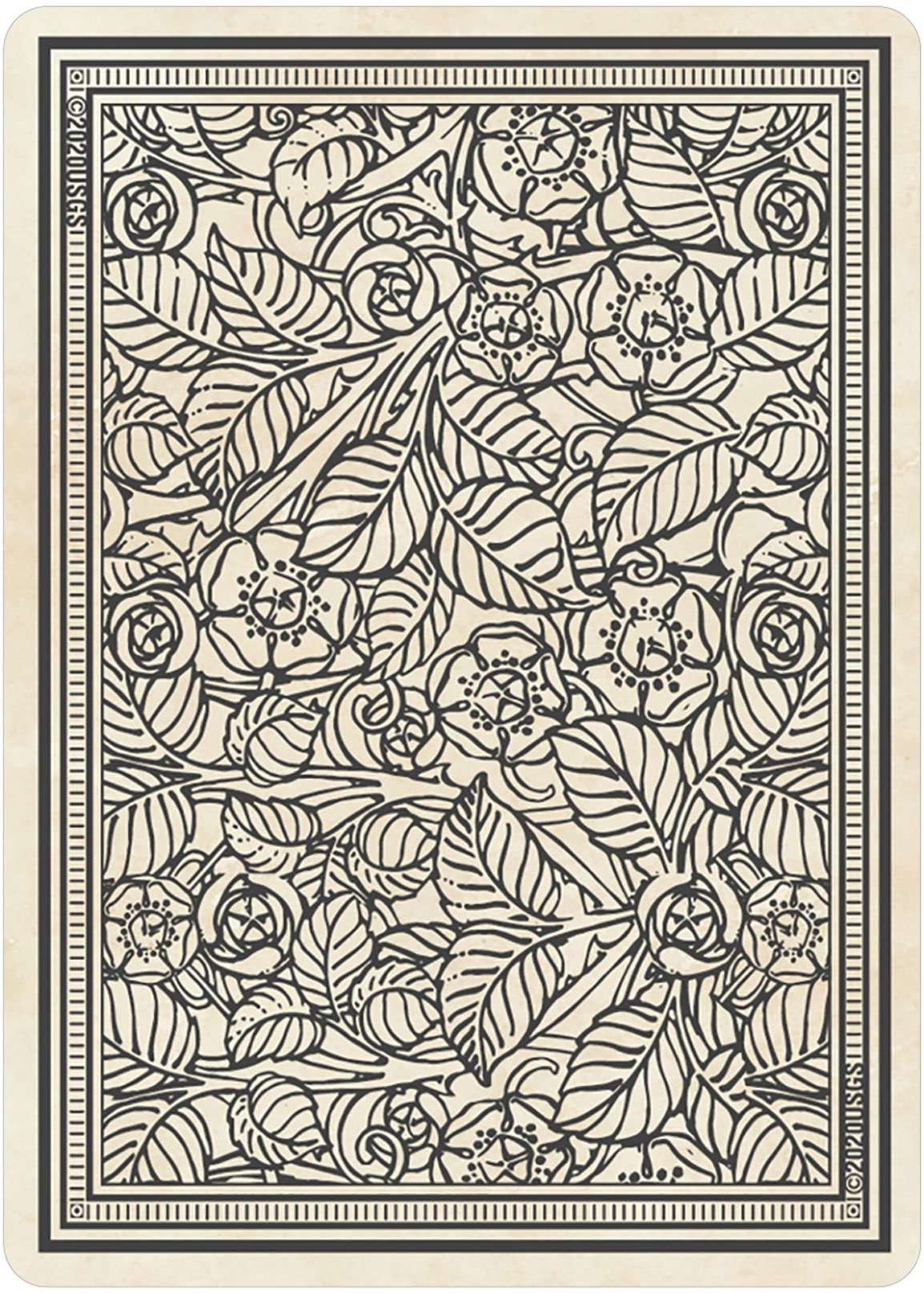 5772-rider-waite-playing-card-tarot-deck-usgs-1.jpg