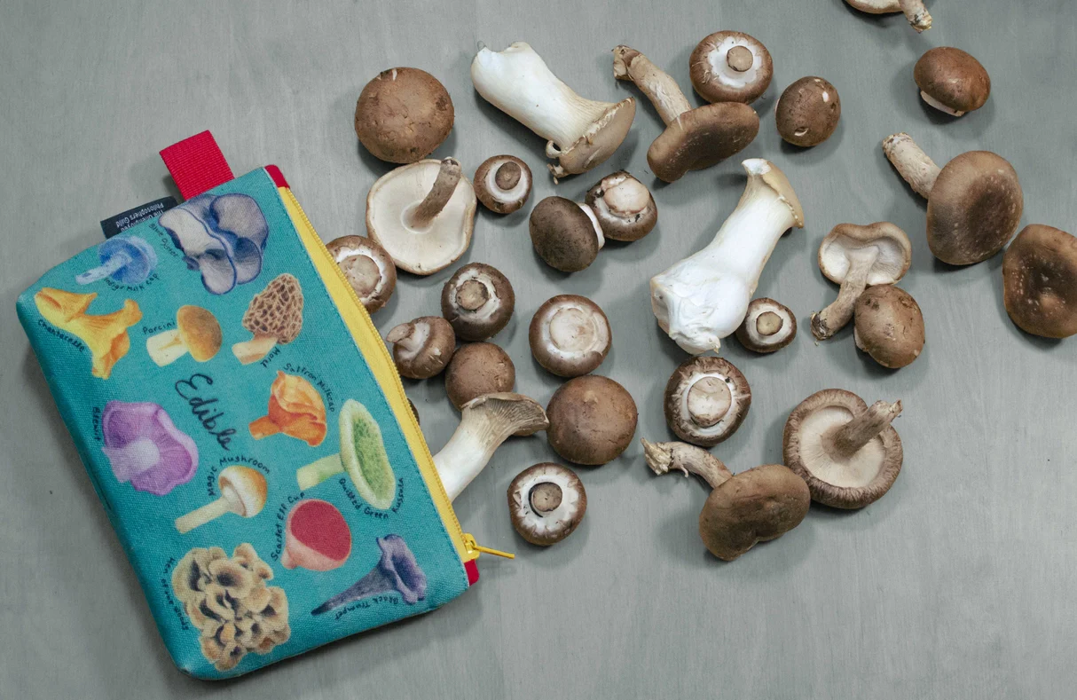58-mushroom-zipper-bag-1.webp