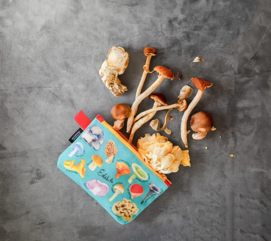 58-mushroom-zipper-bag-1.webp