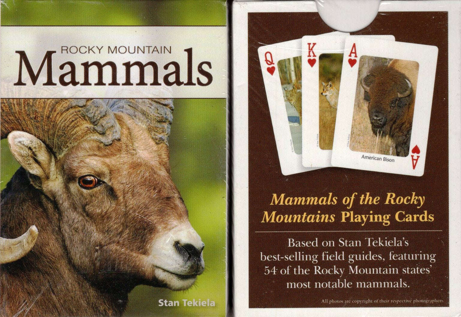 Rocky Mountain Mammals Playing Cards