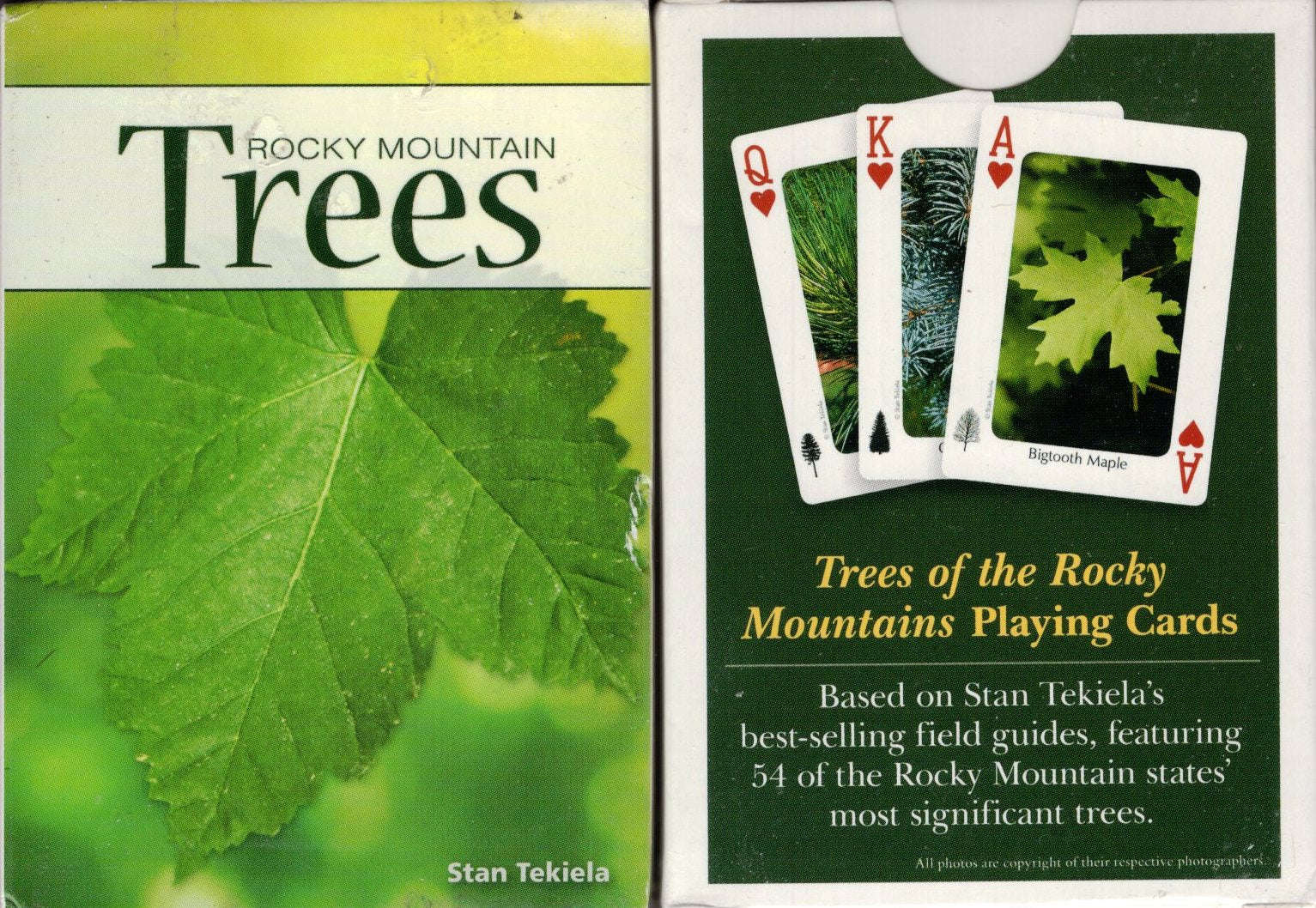 Rocky Mountain Trees Playing Cards 1 5807-rocky-mountain-trees-playing-cards-1.jpg