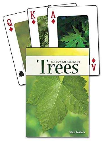 5807-rocky-mountain-trees-playing-cards-1.jpg