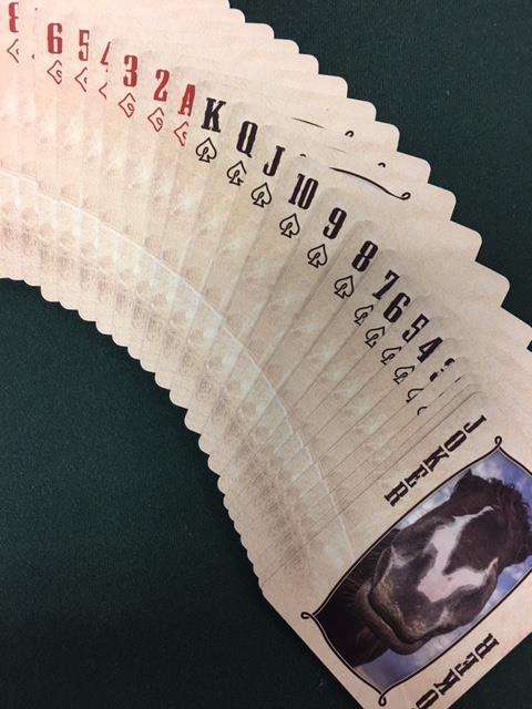 5809-rodeo-playing-cards-uspcc-1.jpg
