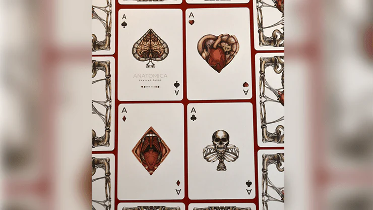 582-anatomica-playing-cards-cartamundi-1.jpg
