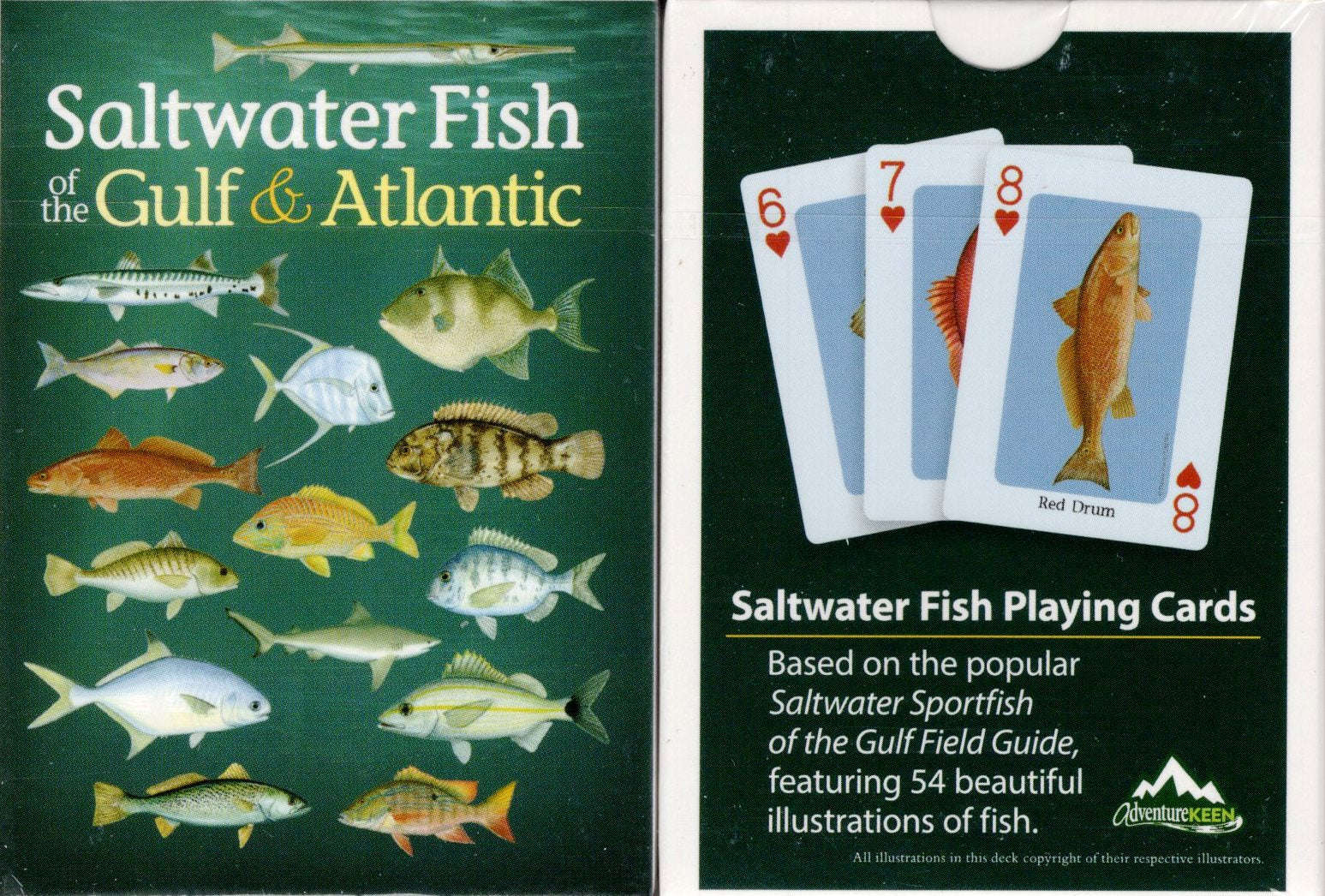 Saltwater Fish of the Gulf & Atlantic Playing Cards