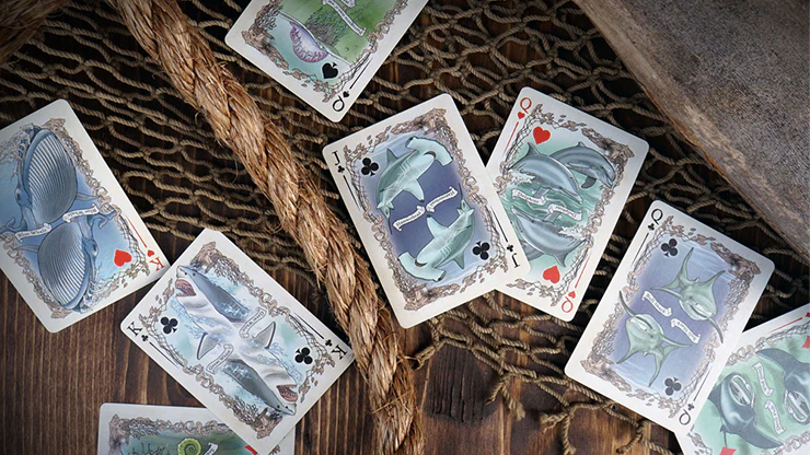 5957-sea-creatures-brain-vessel-playing-cards-uspcc-1.jpg
