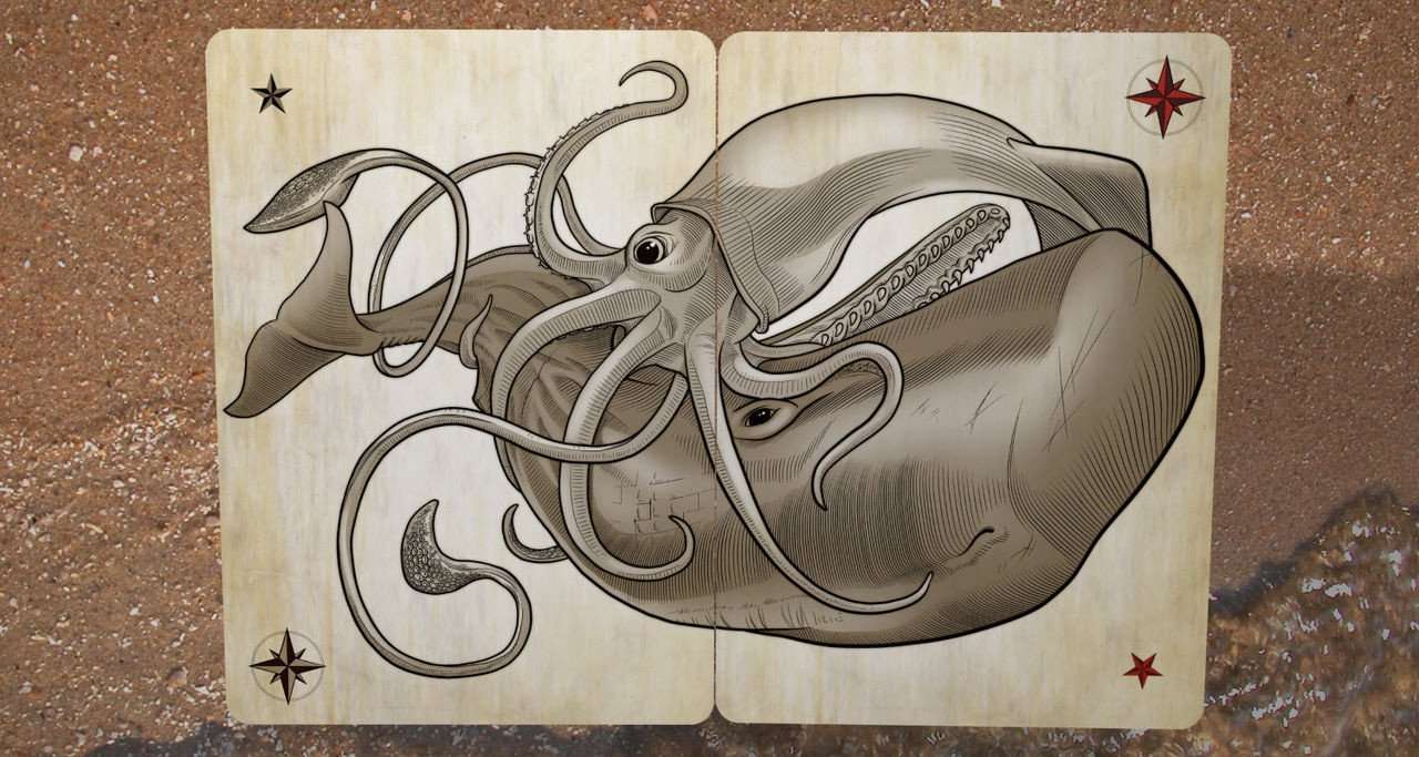 5958-sea-creatures-playing-cards-deck-uspcc-1.jpg