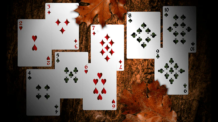 Secret Tale of Robin Hood Black Owl Playing Cards WJPC