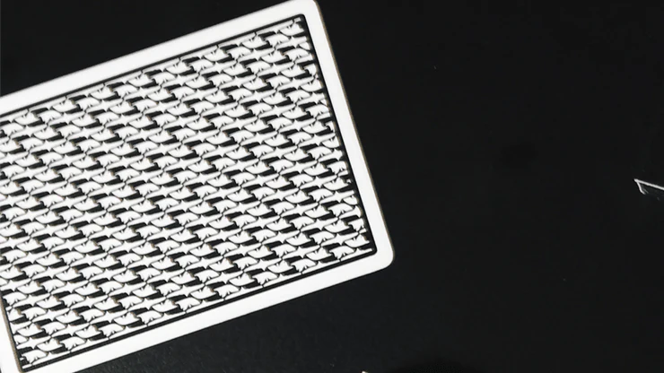 5987-secrets-of-magic-black-white-marked-laying-cards-1.webp
