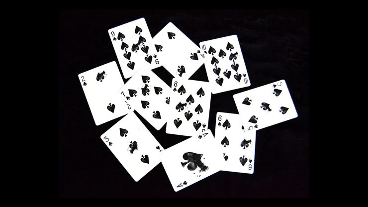 6029-shadows-playing-cards-hcpc-1.jpg
