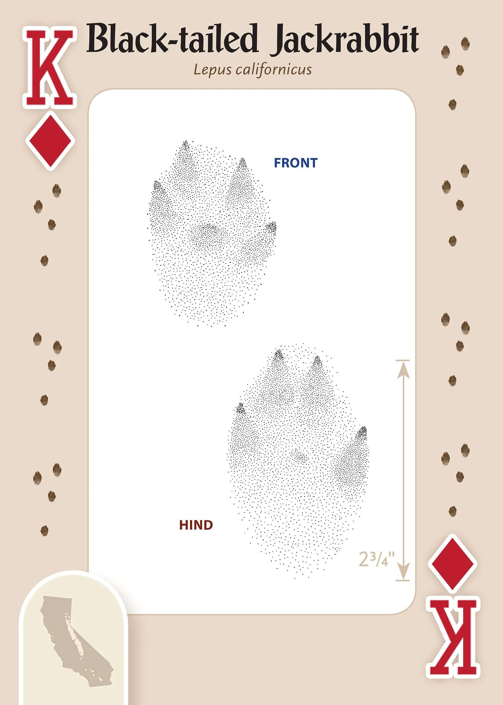 619-animal-tracks-of-california-playing-cards-1.jpg