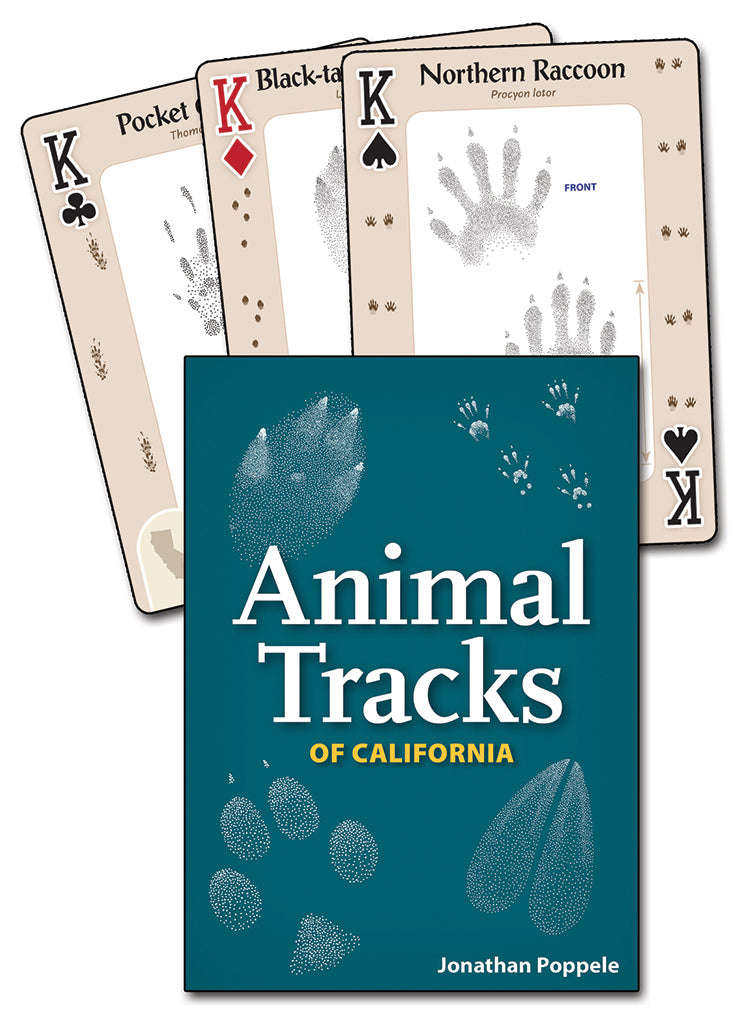 619-animal-tracks-of-california-playing-cards-1.jpg