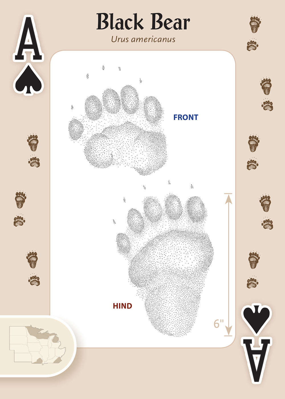 620-animal-tracks-of-the-midwest-playing-cards-1.jpg