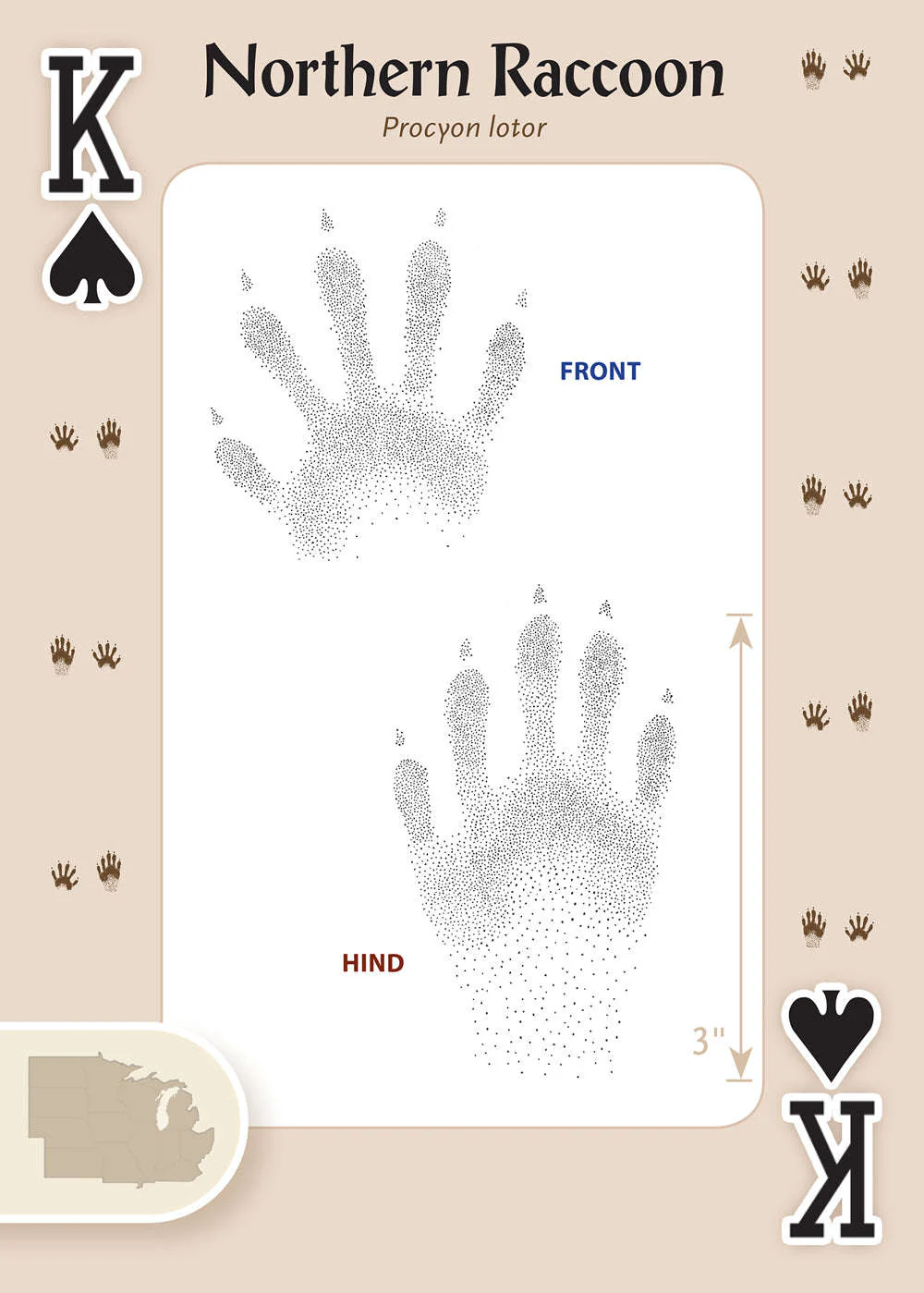 620-animal-tracks-of-the-midwest-playing-cards-1.jpg