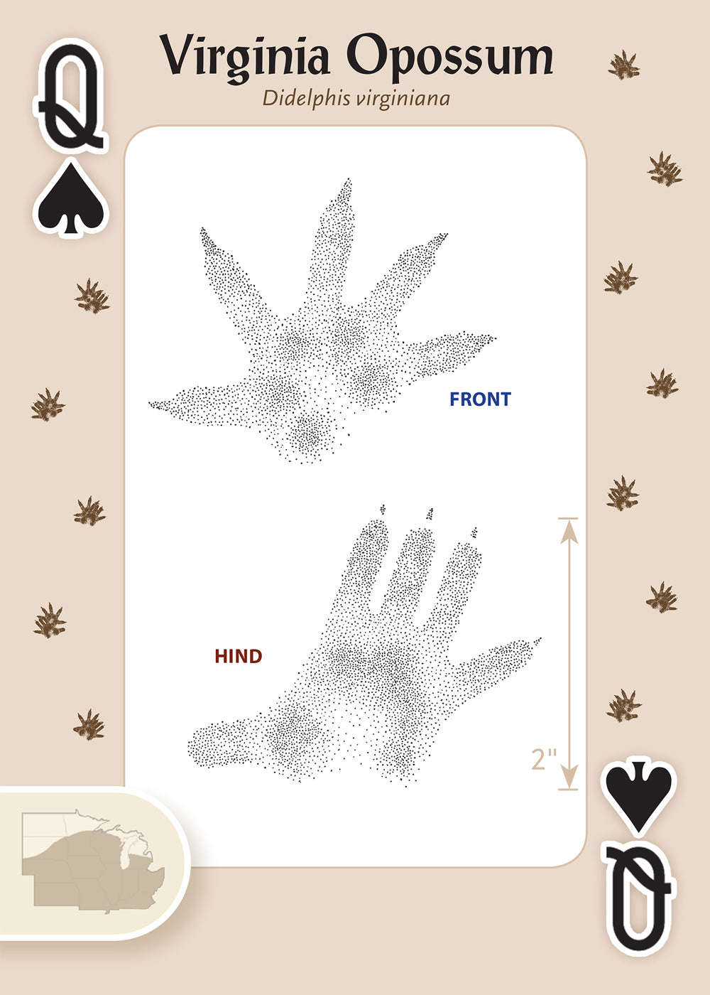 620-animal-tracks-of-the-midwest-playing-cards-1.jpg
