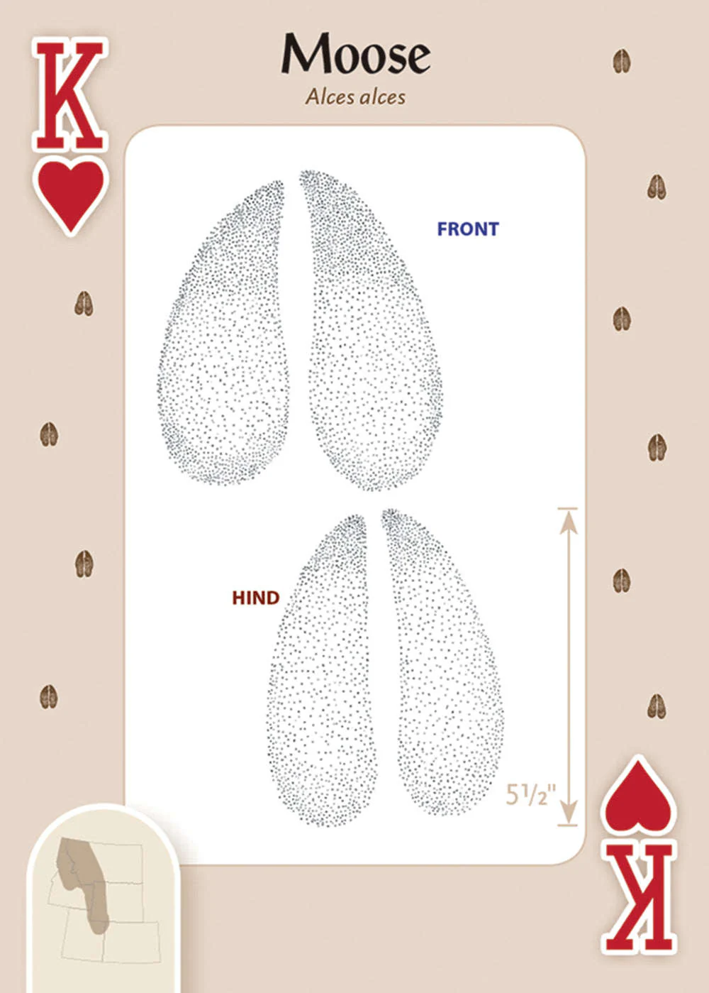 623-animal-tracks-of-the-rocky-mountains-playing-cards-1.jpg