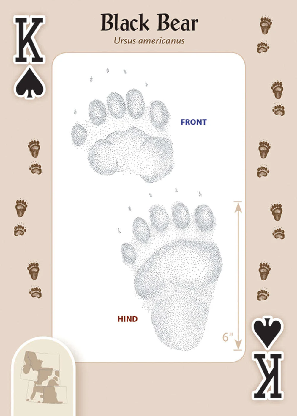 623-animal-tracks-of-the-rocky-mountains-playing-cards-1.jpg
