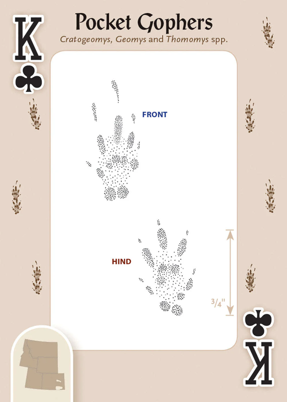 623-animal-tracks-of-the-rocky-mountains-playing-cards-1.jpg