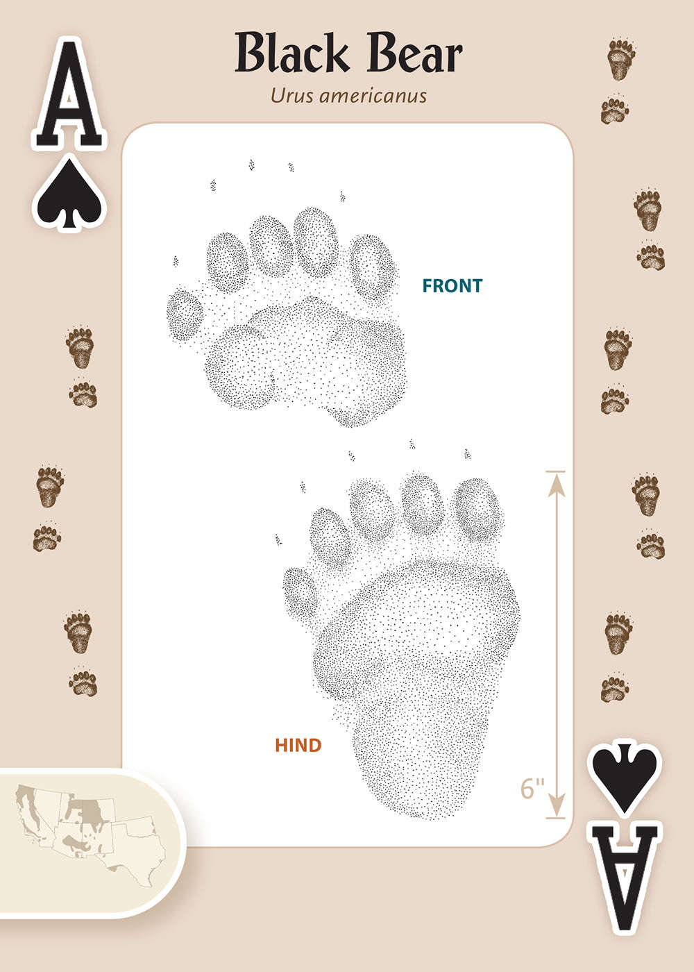 624-animal-tracks-of-the-southwest-playing-cards-1.jpg