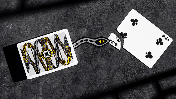 Snakes & Ladders Marked Playing Cards USPCC
