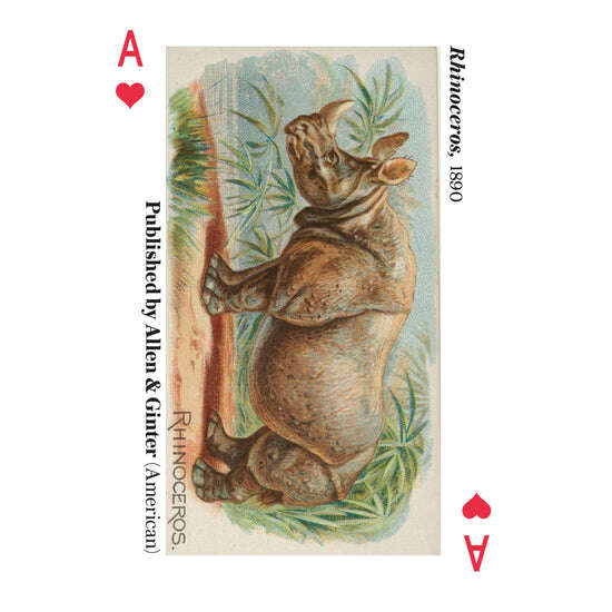 625-animals-of-the-met-playing-cards-uspcc-1.jpg