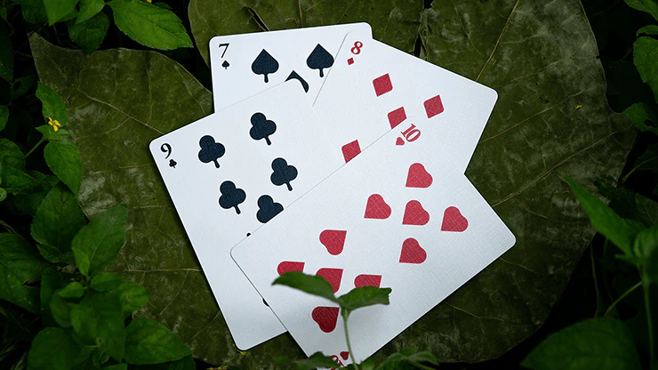 6288-solstice-playing-cards-by-kings-wild-project-1.jpg