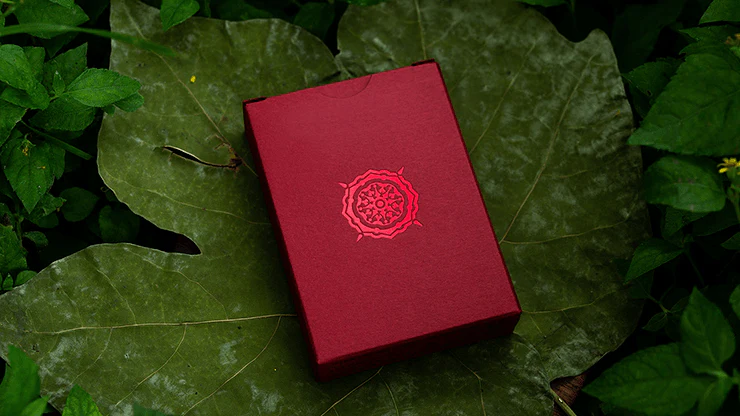6288-solstice-playing-cards-by-kings-wild-project-1.jpg