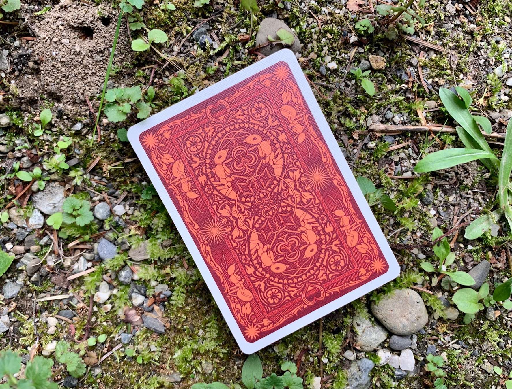 630-ant-bicycle-playing-cards-1.jpg