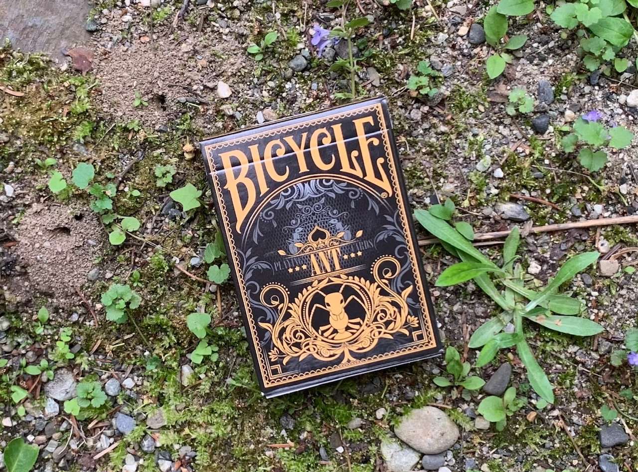 630-ant-bicycle-playing-cards-1.jpg
