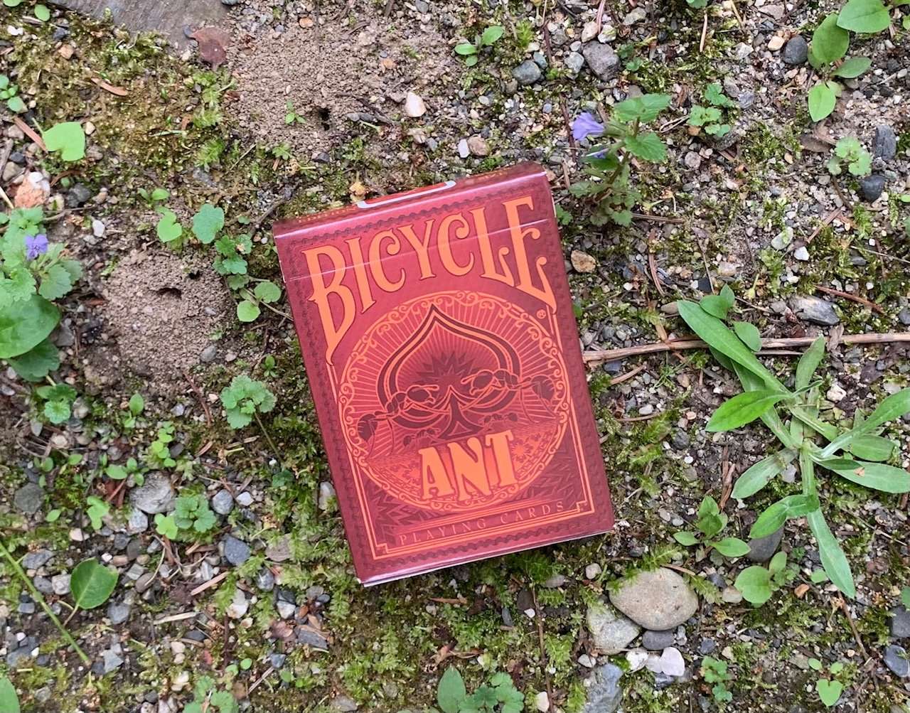 630-ant-bicycle-playing-cards-1.jpg
